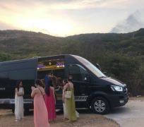 Xe Limousine 10 Chỗ