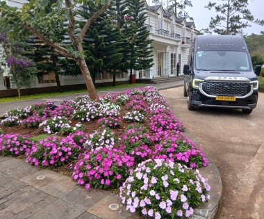 Limousine Trường Thịnh hân hạnh được phục vụ Quý Khách đi tham quan và du lịch tại Măng Đen